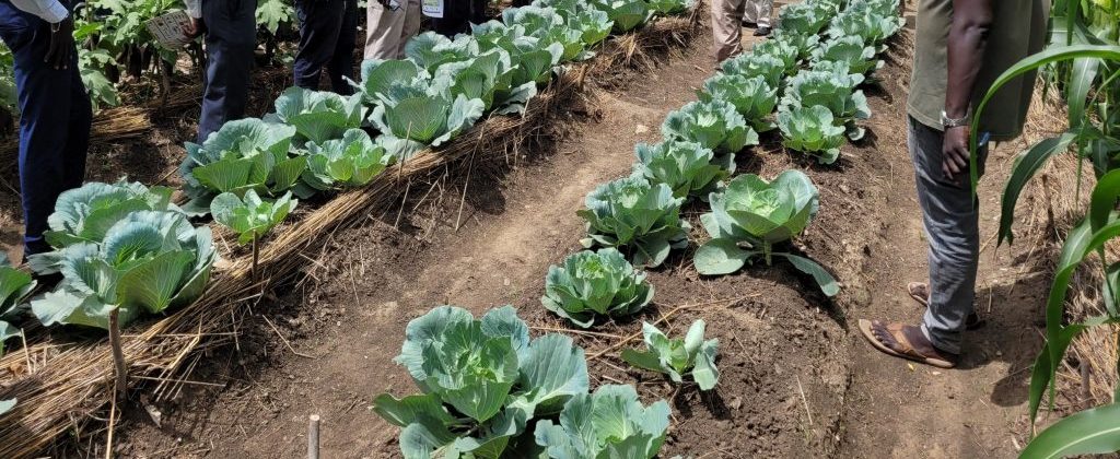Food Security and Agriculture