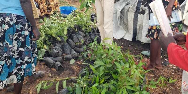 Environmental Protection