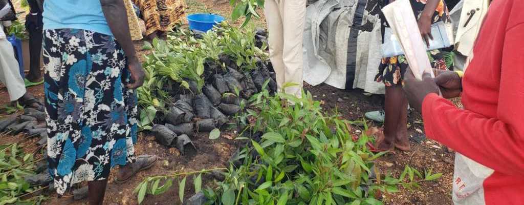 Environmental Protection